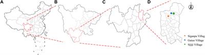 Spatial characteristics and cultural factors of Yi nationality traditional dwellings based on spatial syntax